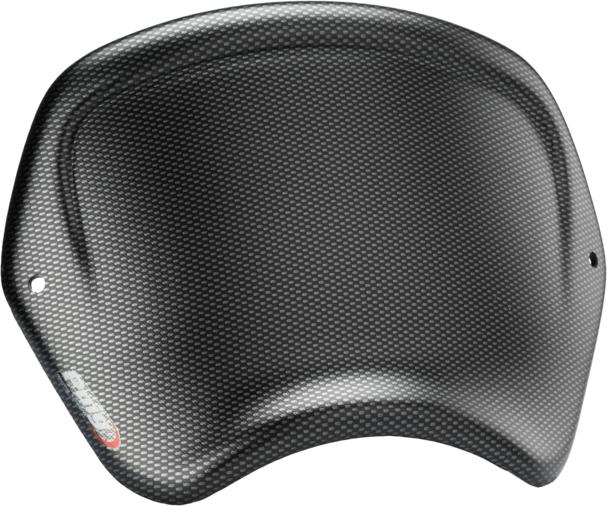 Front Plate Carbon - 561-3590C - PUIG