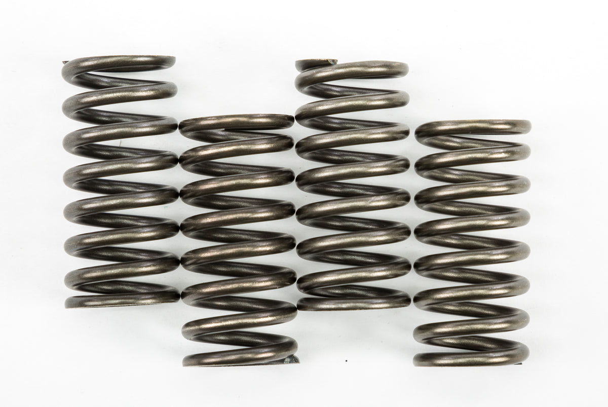 Clutch Springs Csk248 - 15-17248 - EBC Motorcycle Brakes
