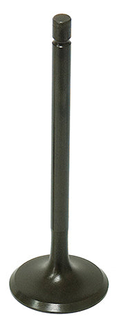 Intake Valve - 183-09500 - Namura