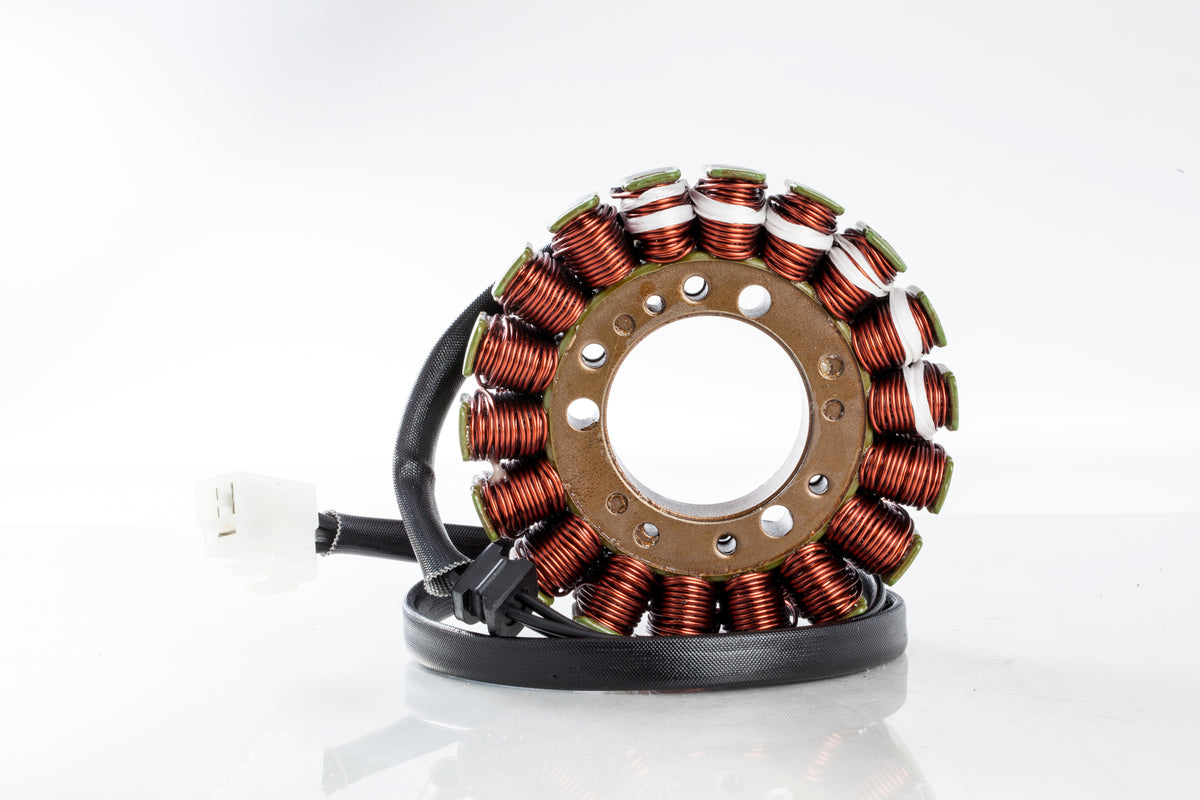 Stator - 27-21015 - Ricks Motorsport Electric