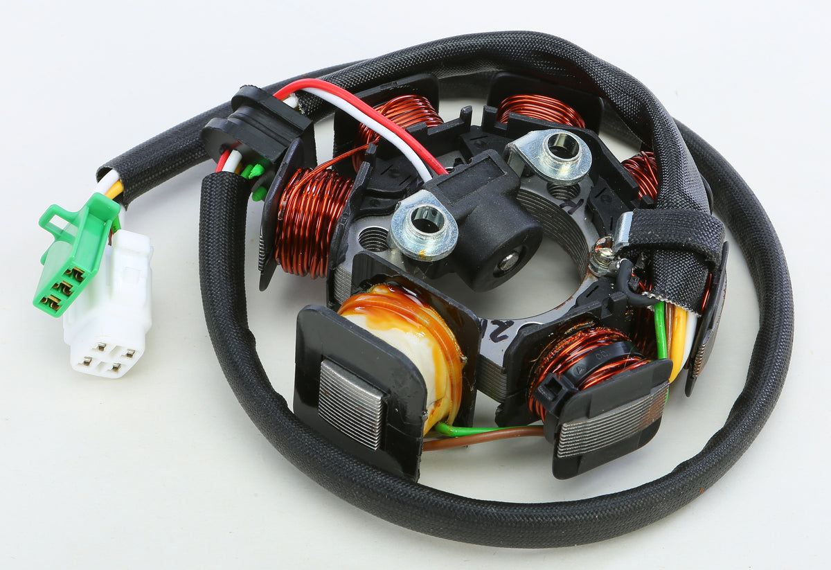 Stator - 27-21930 - Ricks Motorsport Electric