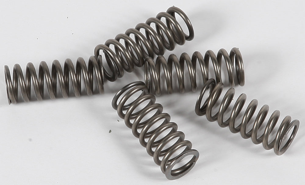 Clutch Springs Csk101 - 15-17101 - EBC Motorcycle Brakes
