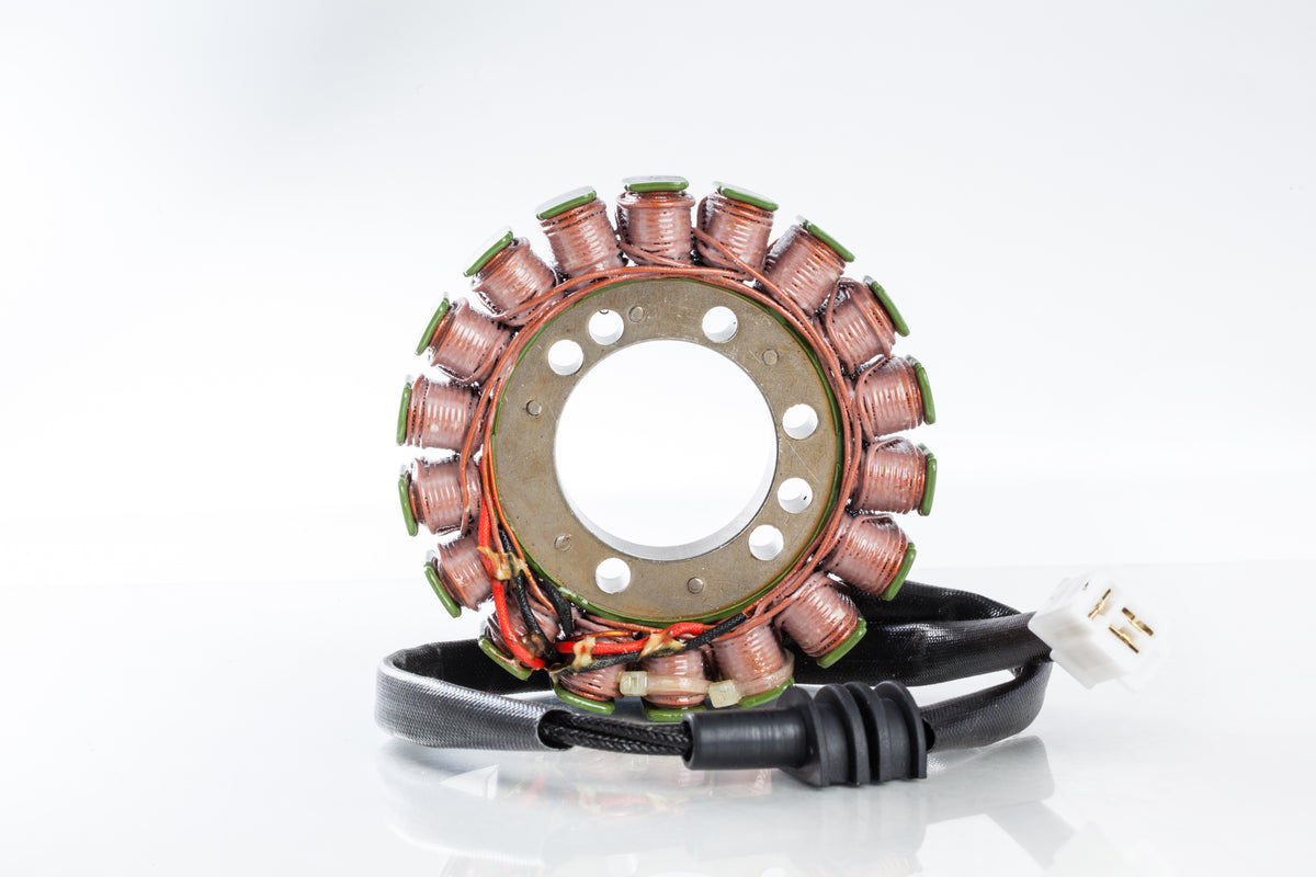 Stator - 27-21409 - Ricks Motorsport Electric