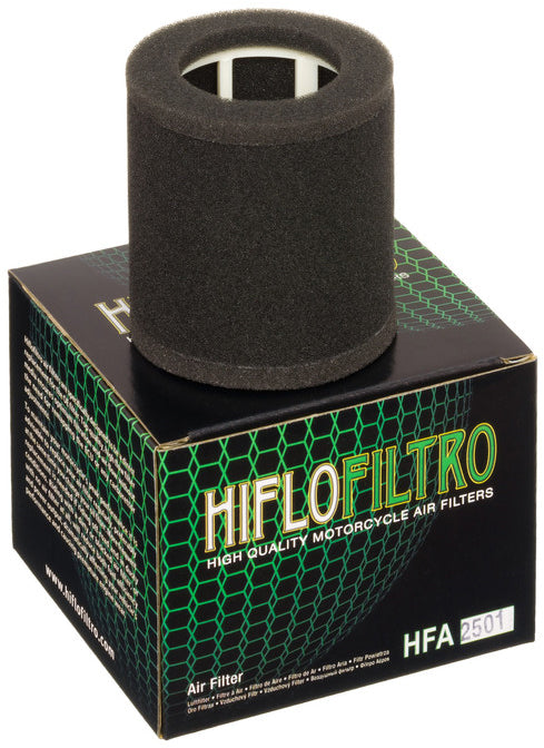 Air Filter - 551-2501 - Hiflofiltro