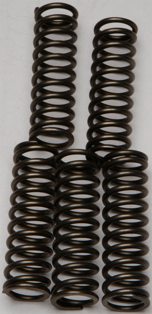 Clutch Springs Csk169 - 15-17169 - EBC Motorcycle Brakes