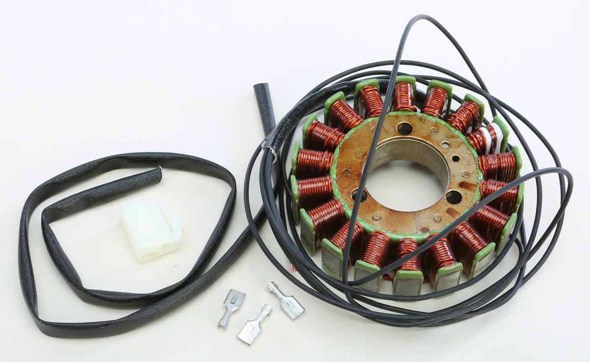 Stator - 27-21309 - Ricks Motorsport Electric