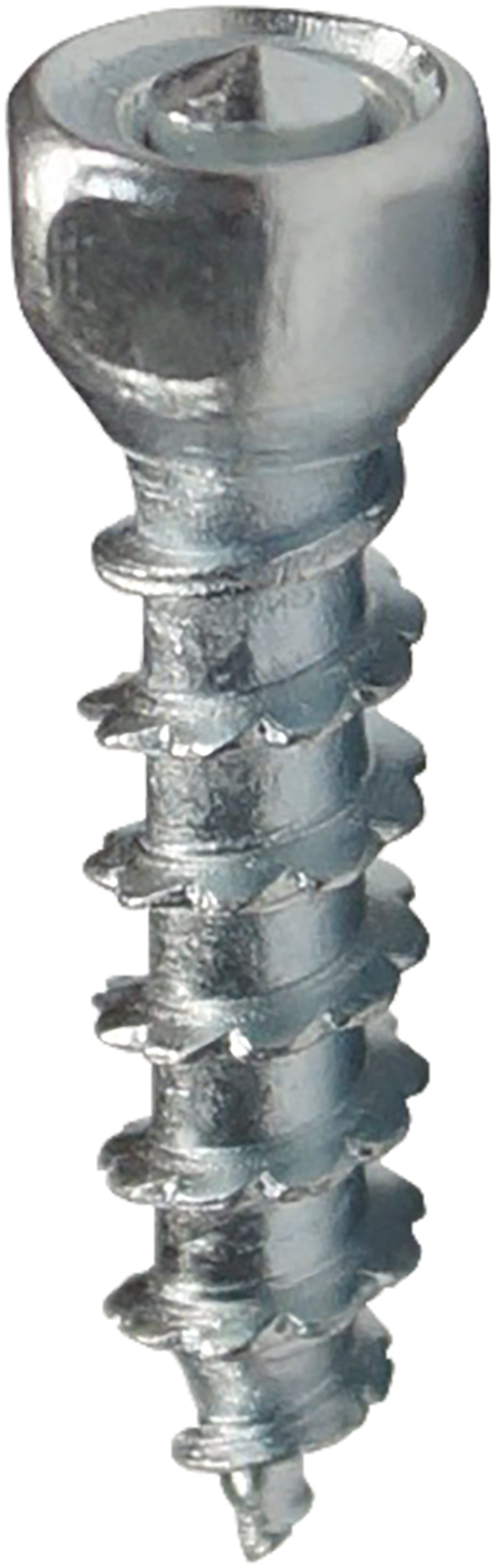 Boss Twist Screws 30mm 100/Pk - 18-31020-100 - Woodys
