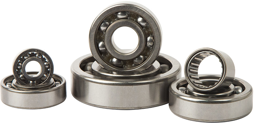 Transmission Bearing Kit - 421-3099 - Hot Rods