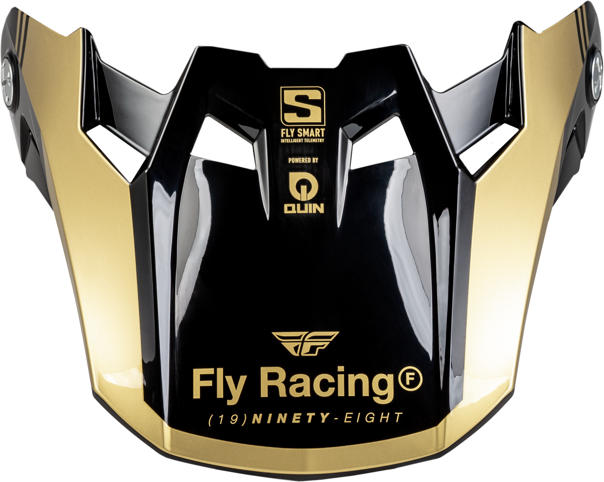 Formula S Carbon Legacy Visor Black/Gold Md/Lg - 73-4453 - Fly Racing