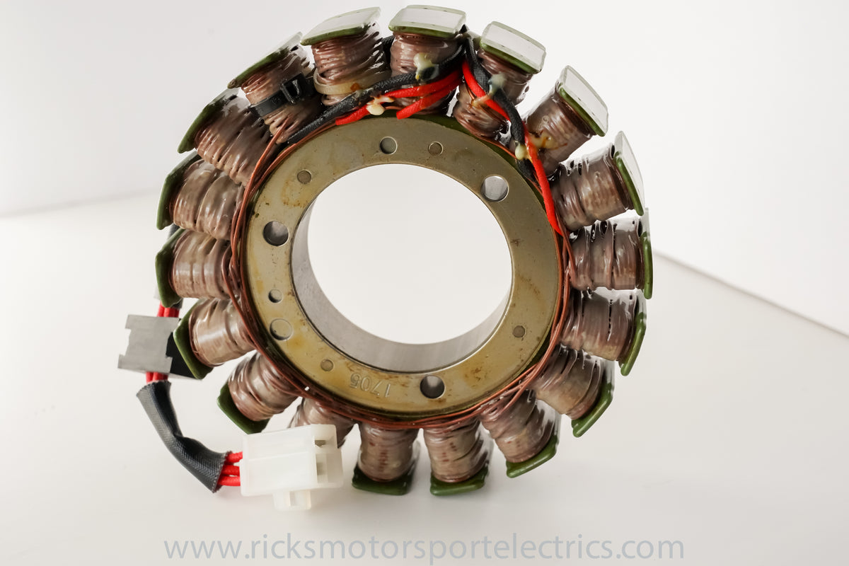 Stator - 27-21219 - Ricks Motorsport Electric