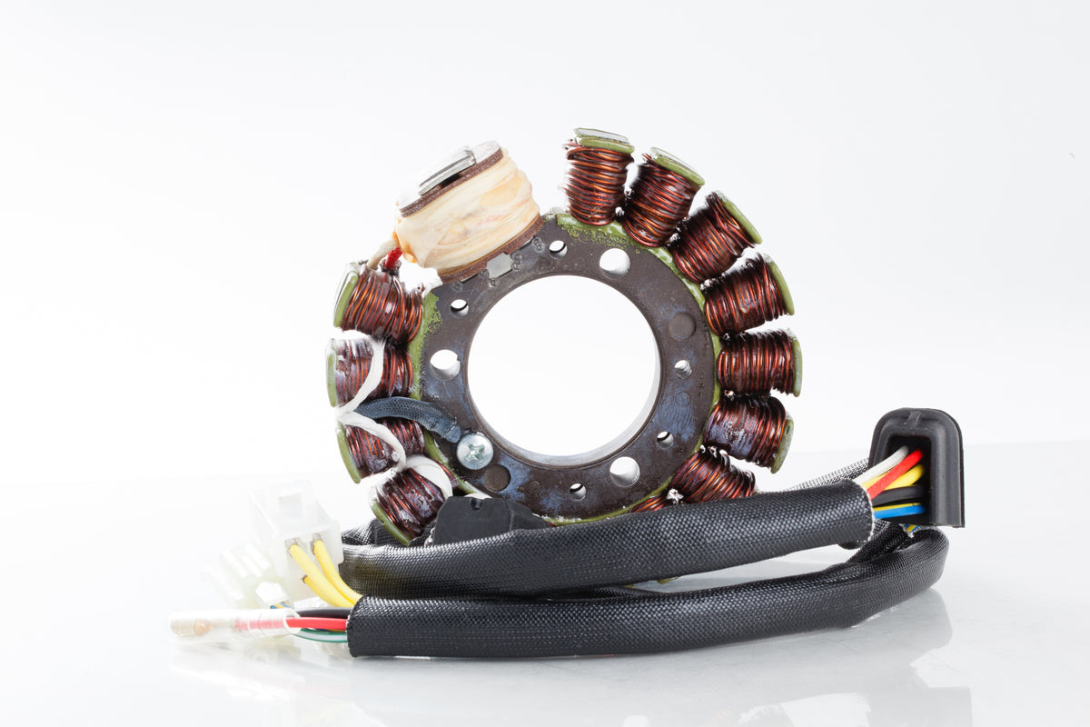 Stator - 27-21816 - Ricks Motorsport Electric