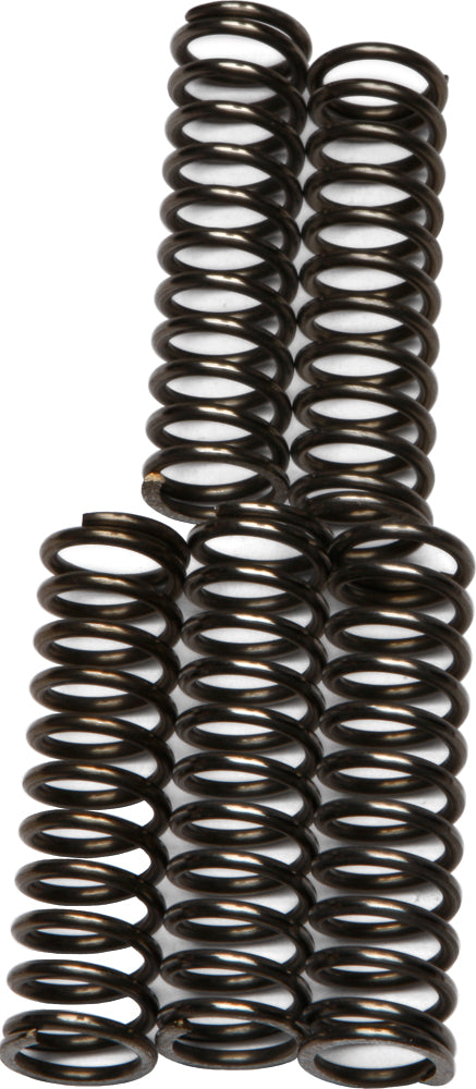 Clutch Springs Csk67 - 15-1767 - EBC Motorcycle Brakes