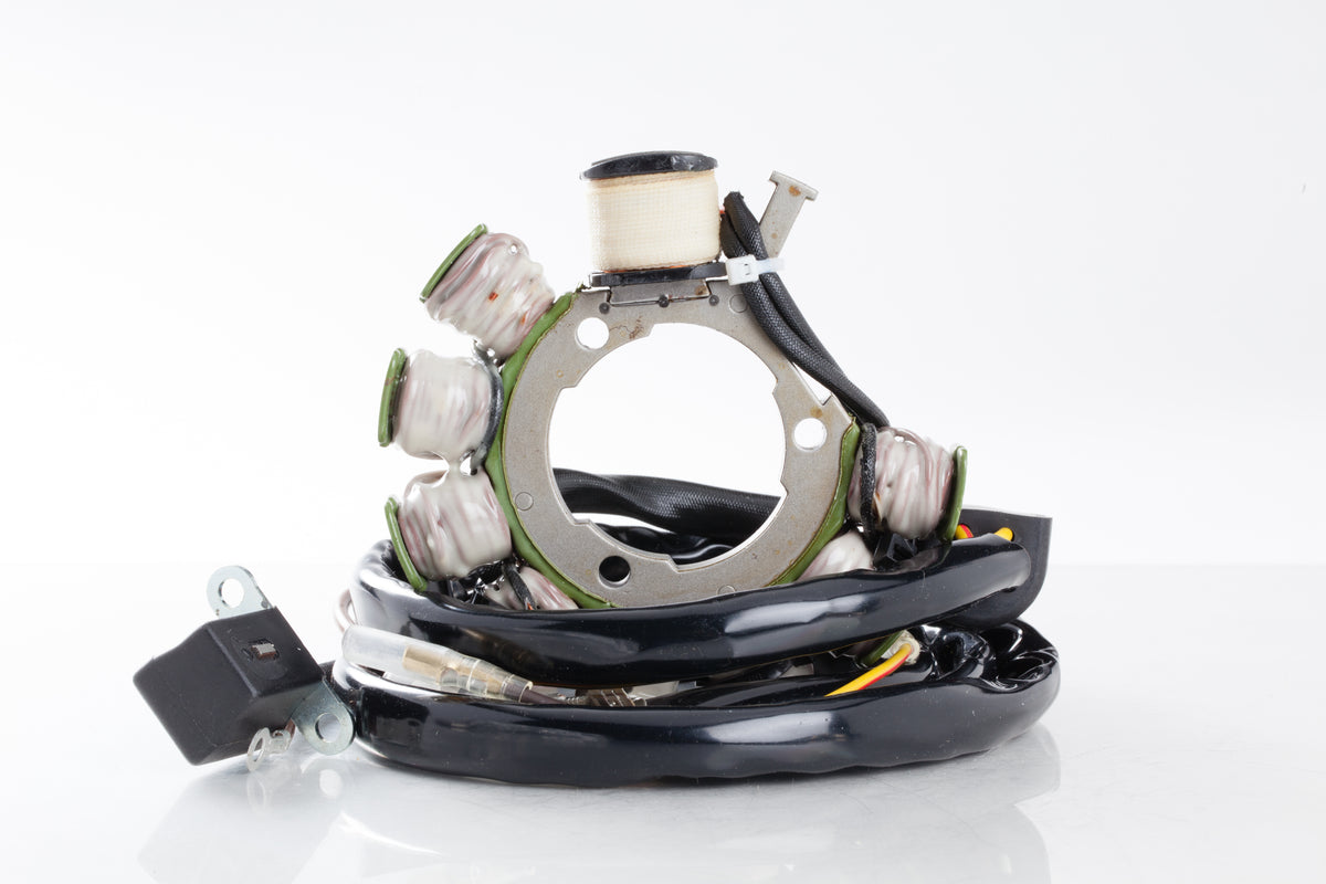 Stator - 27-21554 - Ricks Motorsport Electric