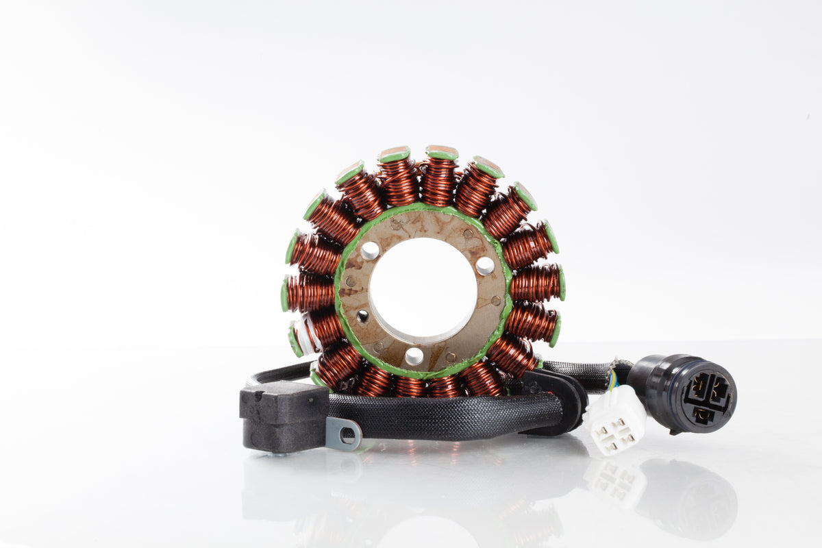 Stator - 27-21905 - Ricks Motorsport Electric
