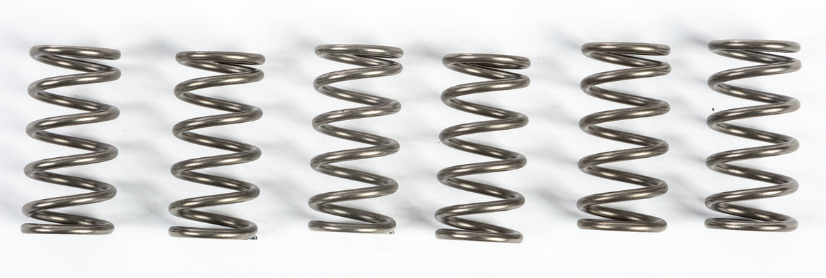 Clutch Springs Csk165 - 15-17165 - EBC Motorcycle Brakes