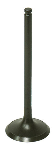Exhaust Valve - 183-09190E - Namura