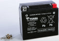 7d1a-572a6cd02e345.jpg