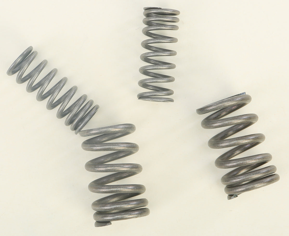 Hd Valve Springs - 80-9030 - bbr