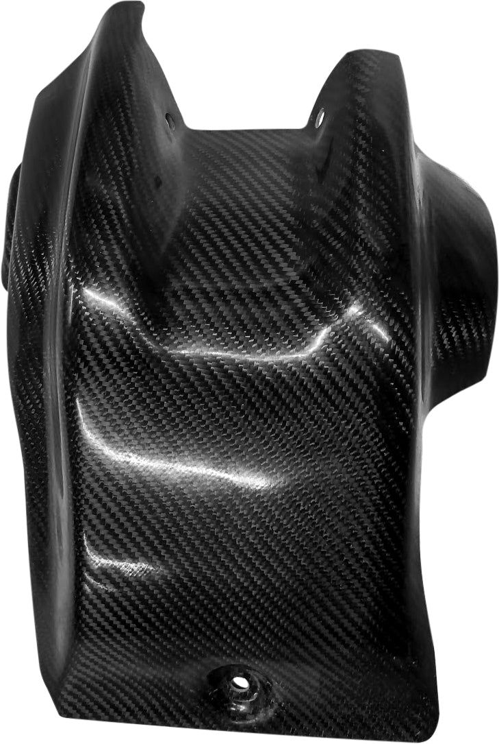 Skid Plate Carbon Fiber - 670-301093-19E - P3
