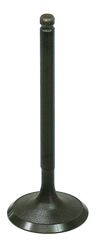 Intake Valve - 183-09213 - Bronco