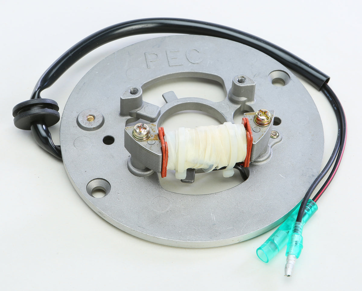 Stator - 27-21926 - Ricks Motorsport Electric