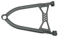 a65e-5e04cc0c9d2ba.jpg