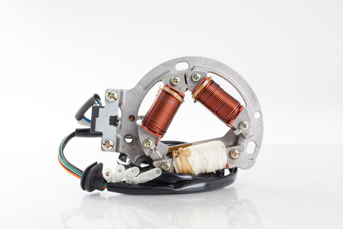Stator - 27-21802 - Ricks Motorsport Electric