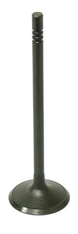 Intake Valve - 183-09195 - Bronco