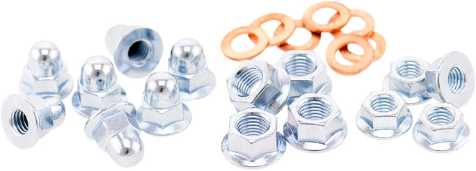 2 Stroke Cylinder & Head Nuts Universal-All 2 Stroke Motors - 020-02000 - BOLT