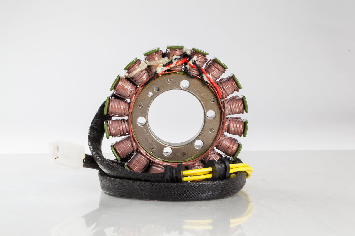 Stator - 27-21109 - Ricks Motorsport Electric