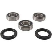 Rear Wheel Bearing Kit - 52-0559 - Pivot Works