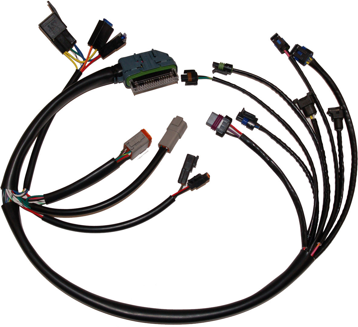 Complete Efi Harness 02-03 - 850-08774 - Namz