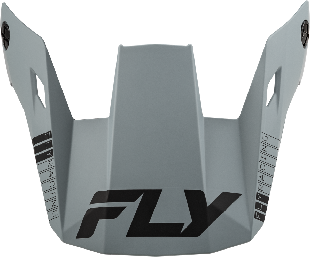 Youth Rayce Helmet Visor Matte Grey Ys-Yl - 73-91147 - Fly Racing