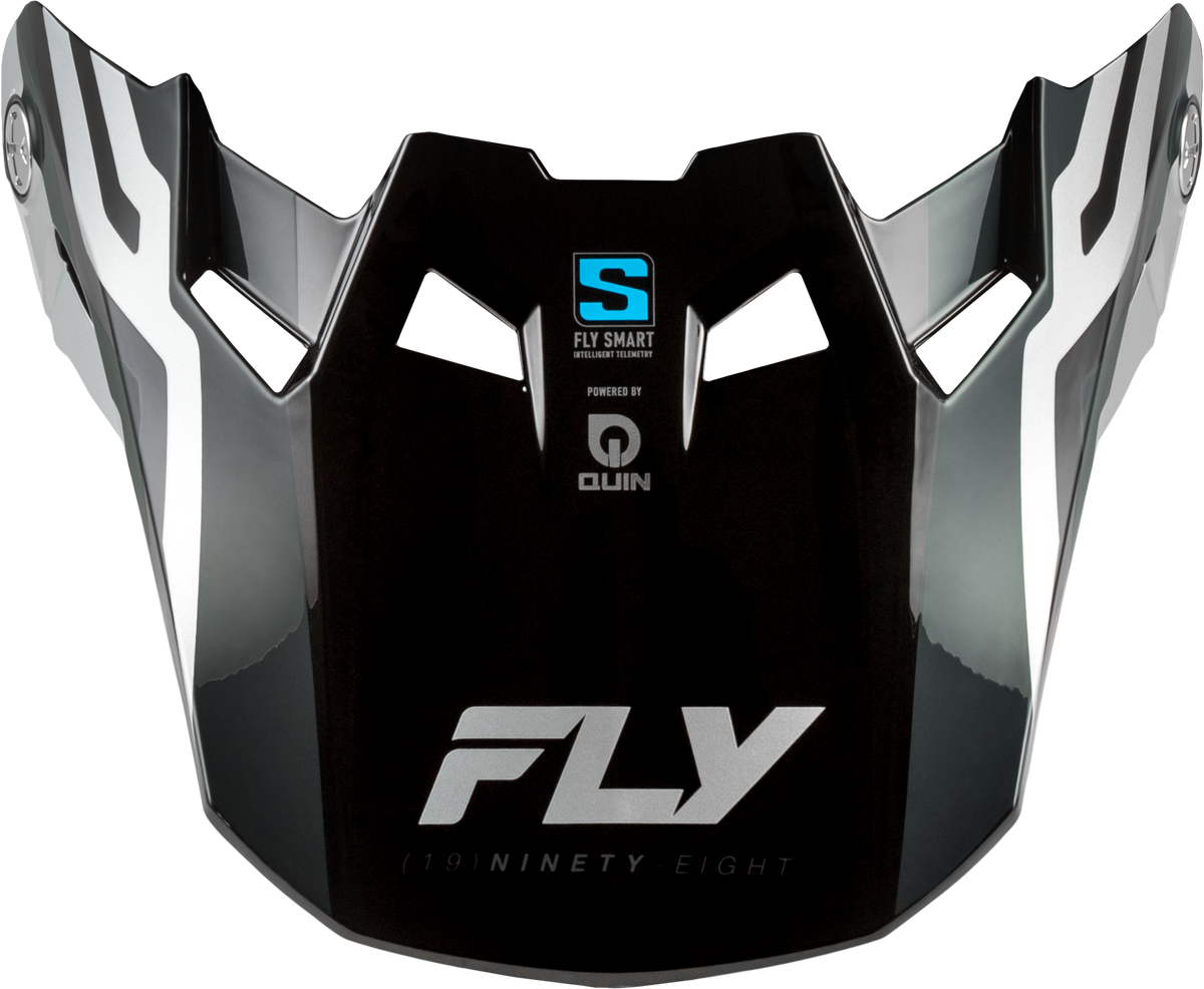 Formula S Carbon Byte Visor Black Carbon/Grey/Silver Md/Lg - 73-4450VM - Fly Racing