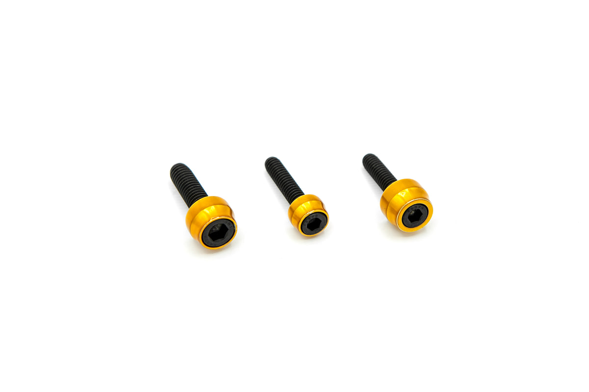 Chacho'S Bolt Kit Gold M8 Eng Trans Prim Blk - 750-03006B - SANTORO FABWORX
