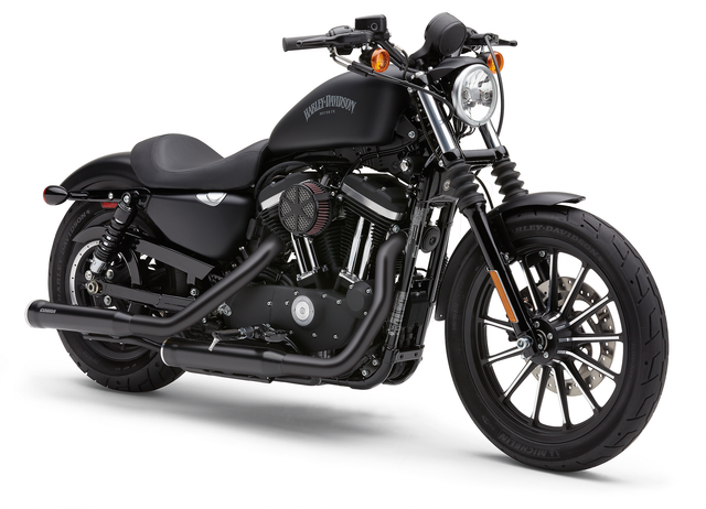 Heathshield Black Sportster 14-22 - 82-96423 - Cobra
