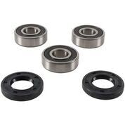 Rear Wheel Bearing Kit - 52-0539 - Pivot Works