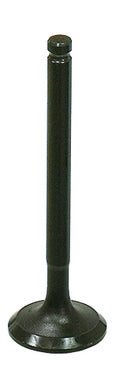 e1df-5cf174c693a86.jpg
