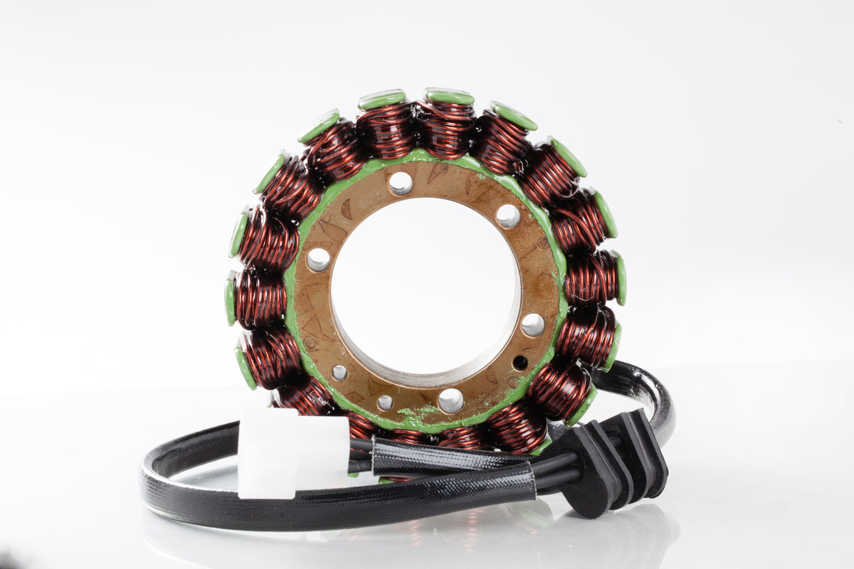Stator - 27-21103 - Ricks Motorsport Electric