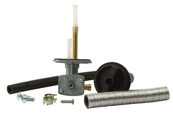 Intake/Carb/Fuel System